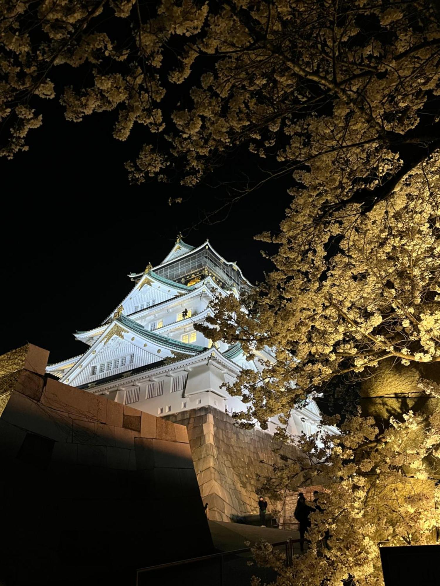 Guesthouse Atelier Ten 民泊アトリエ天 Osaka Eksteriør billede